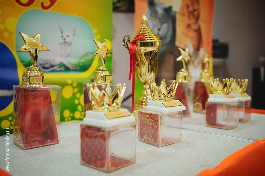 ����������� �����. ��������