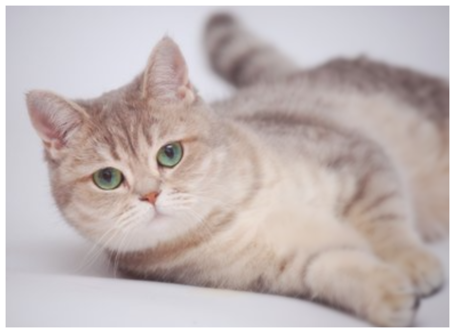 ����������� ��������������� ��������� (�������-������)