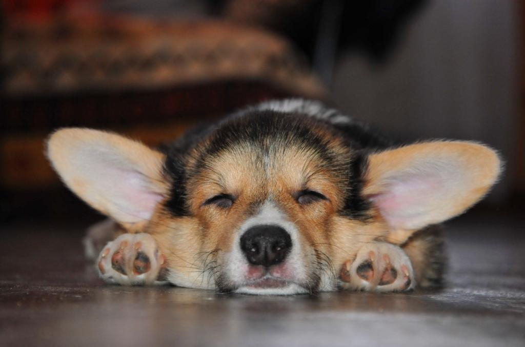 ����� ����� ��������. ��������