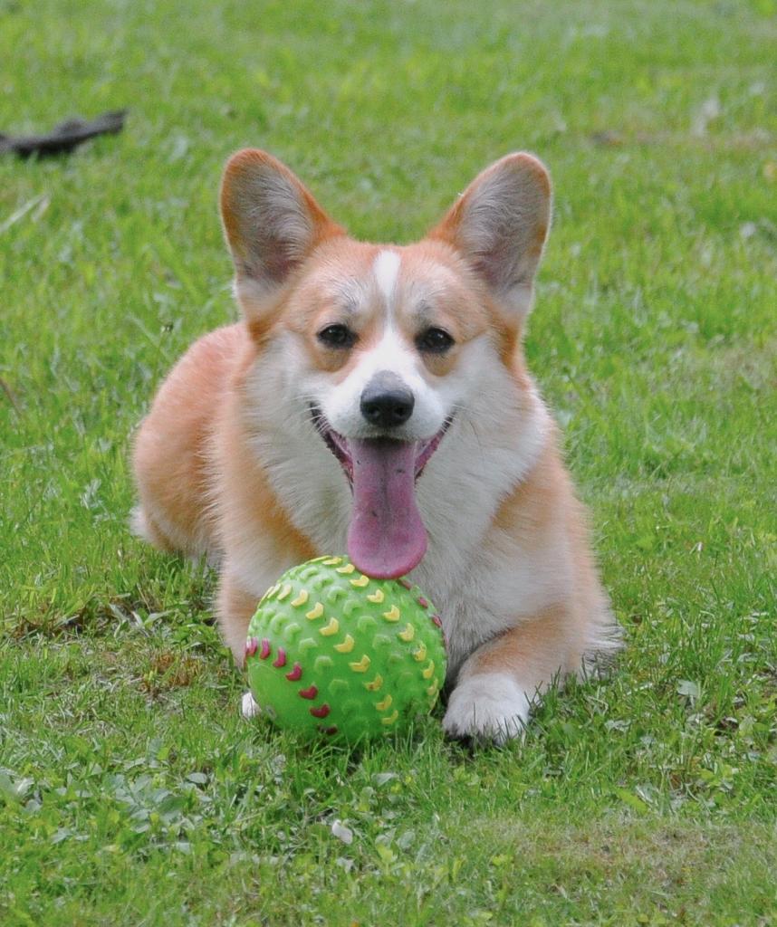 ����� ����� ��������. ��������