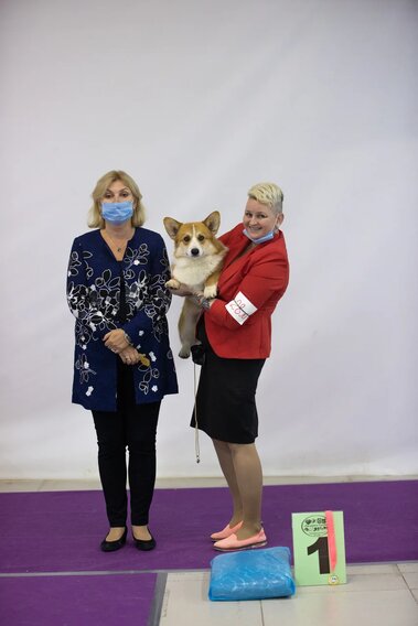 ����� ����� ��������. ��������