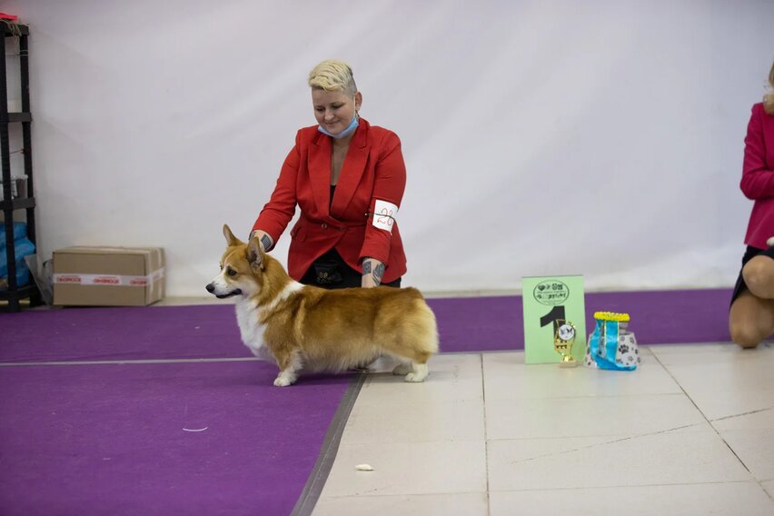 ����� ����� ��������. ��������