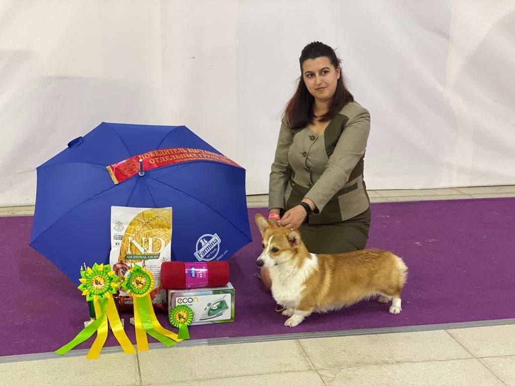 ����� ����� ��������. ��������