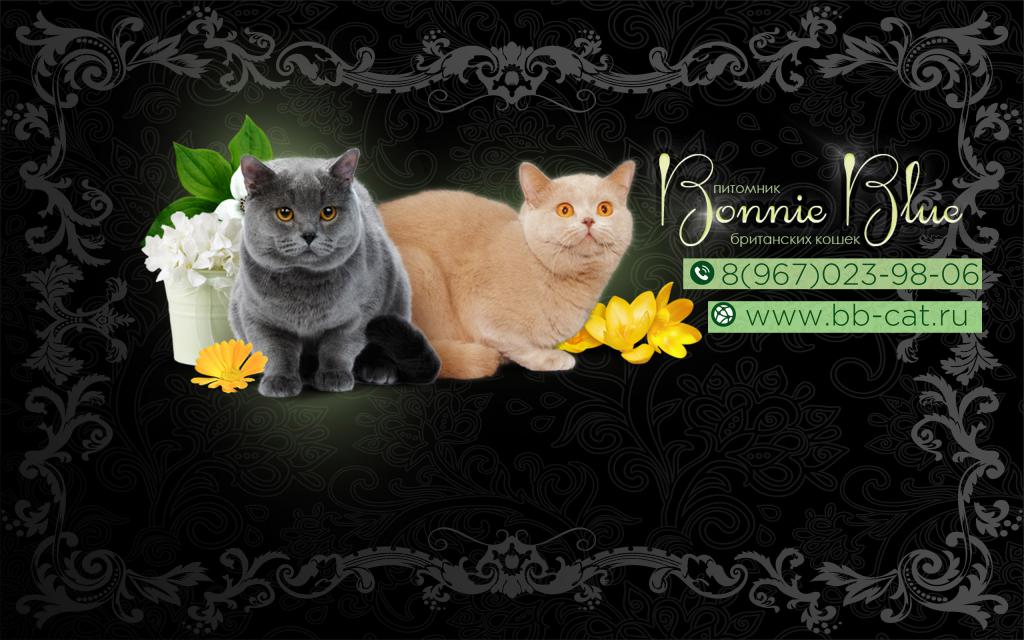 ���������� ���������������