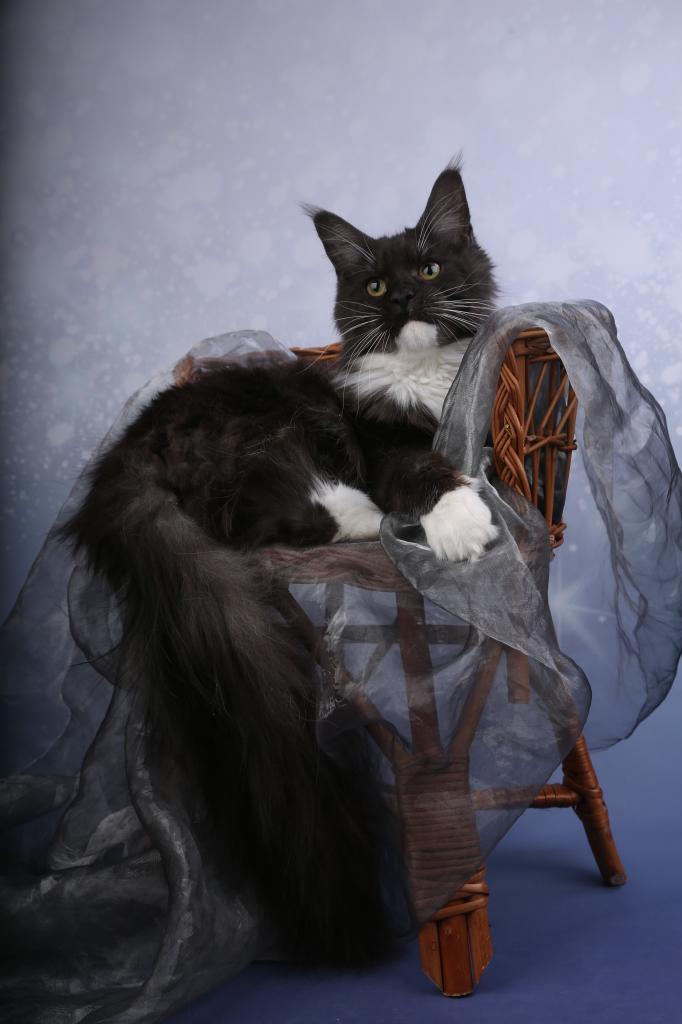 ����-��� �� ��������� ����� Happycoon32