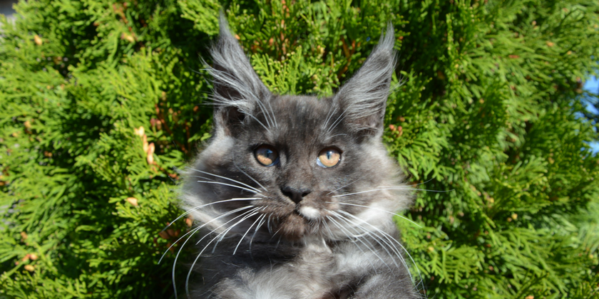 ����-��� �� ��������� ����� Happycoon32