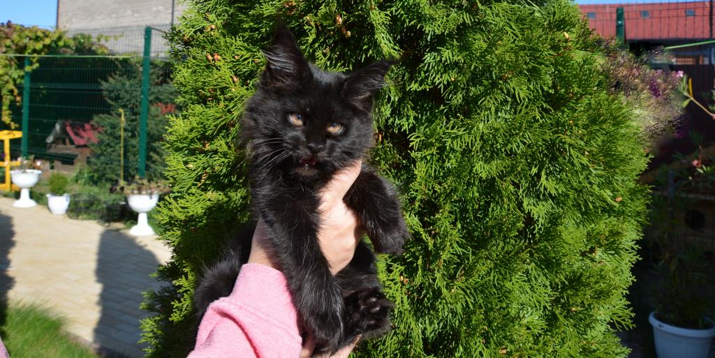 ����-��� �� ��������� ����� Happycoon32