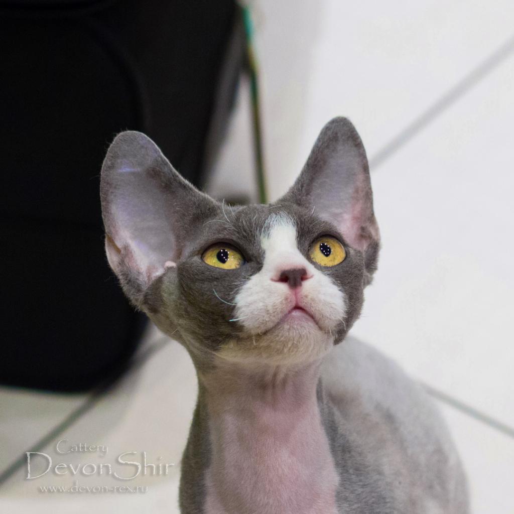 �����-����