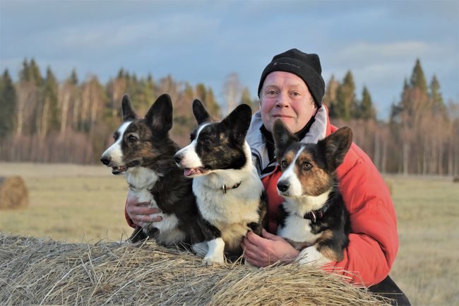 ����� ����� �������� �� ��������� ����� ���������