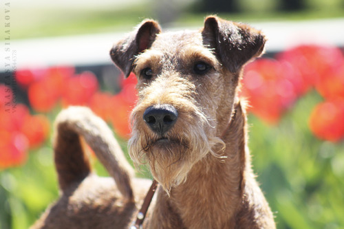 ���������� ������ �� ��������� ����� ������� ����