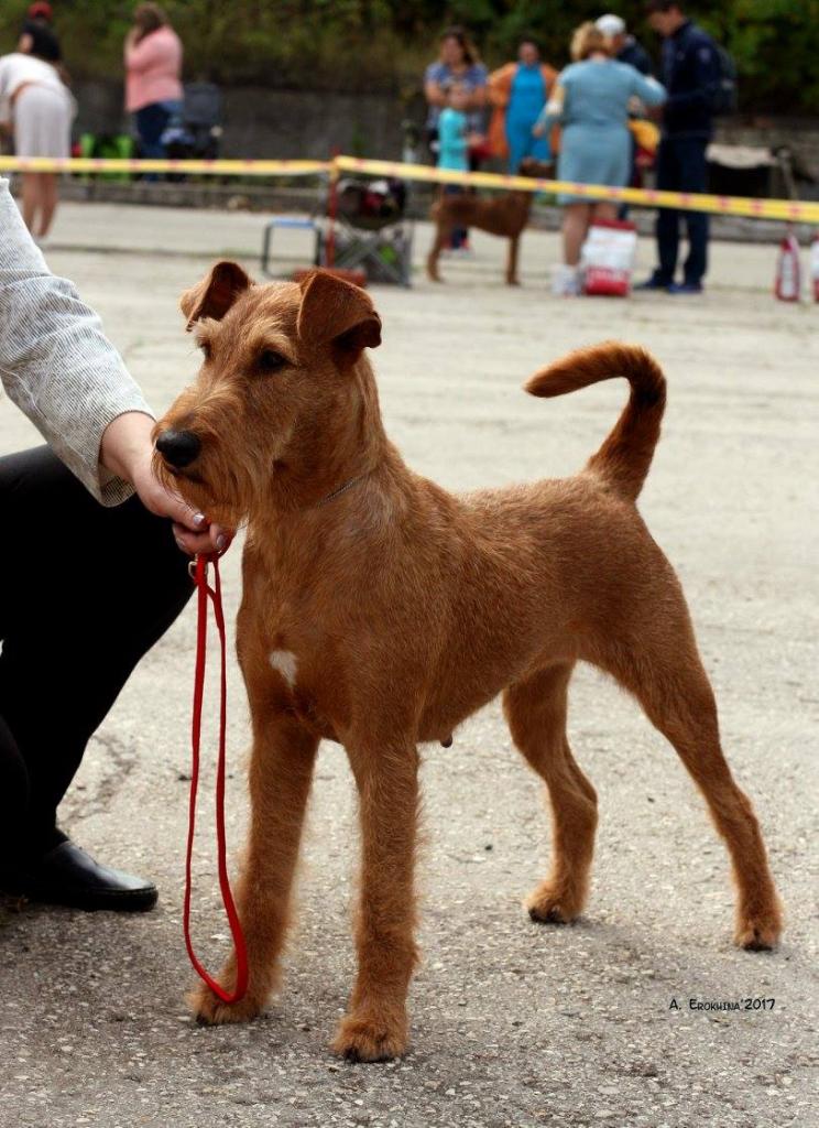 ���������� ������ �� ��������� ����� ������� ����