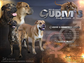 �� �� �� (���������� ������) �� ��������� ����� Gudivi`s