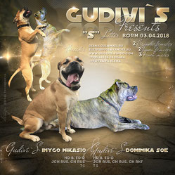 �� �� �� (���������� ������) �� ��������� ����� Gudivi`s