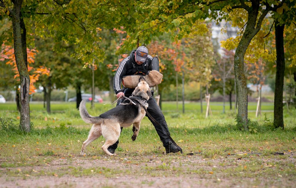 ������������������� ������� �� ��������� ����� �������� �������