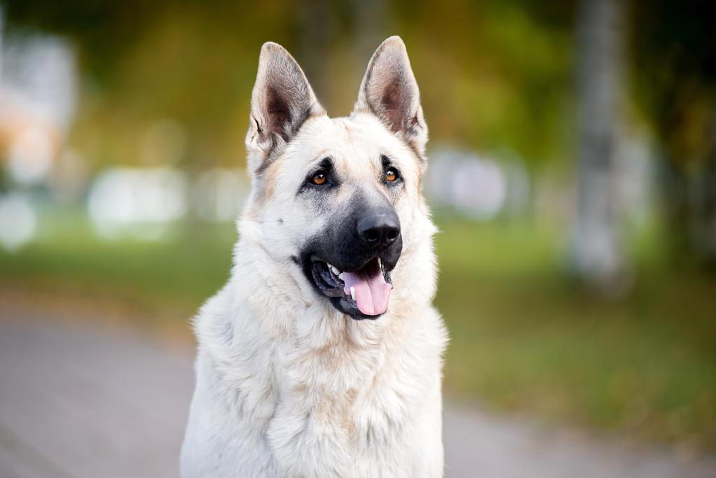 ������������������� ������� �� ��������� ����� �������� �������