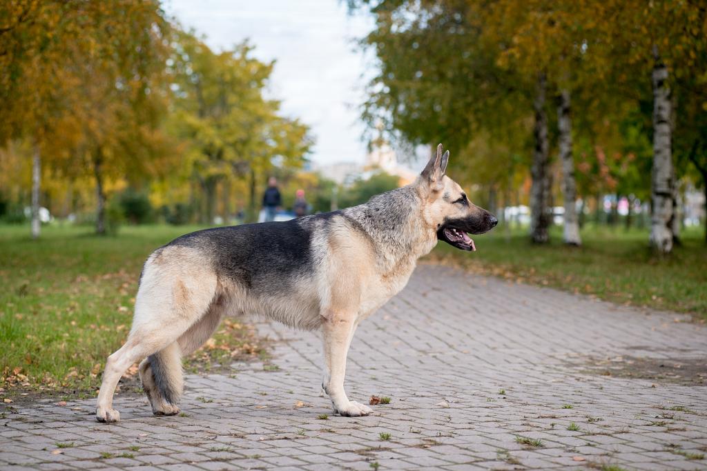 ������������������� ������� �� ��������� ����� �������� �������