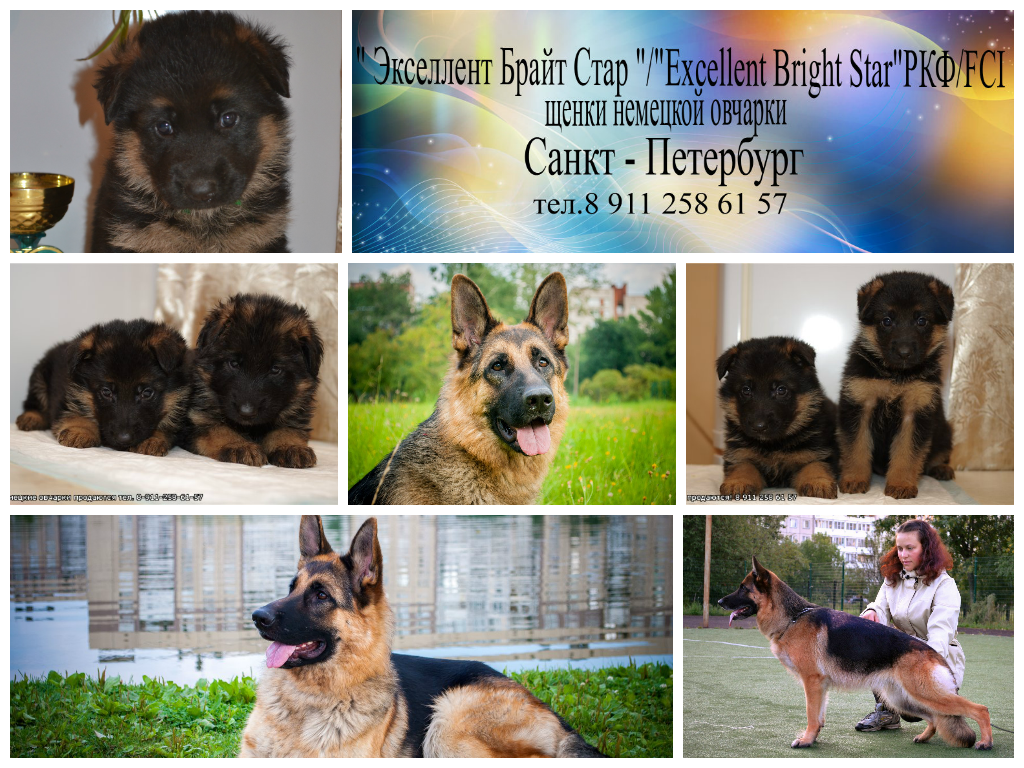 �������� ������� �� ��������� ����� ��������� ����� ����