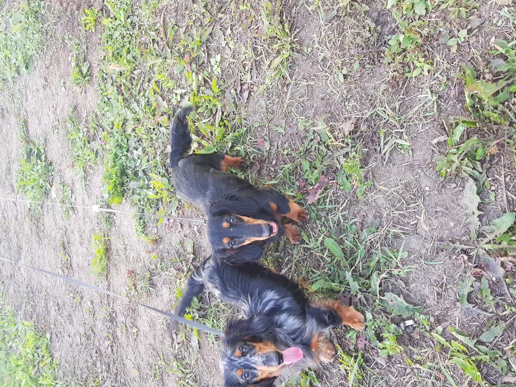 �����. ��������