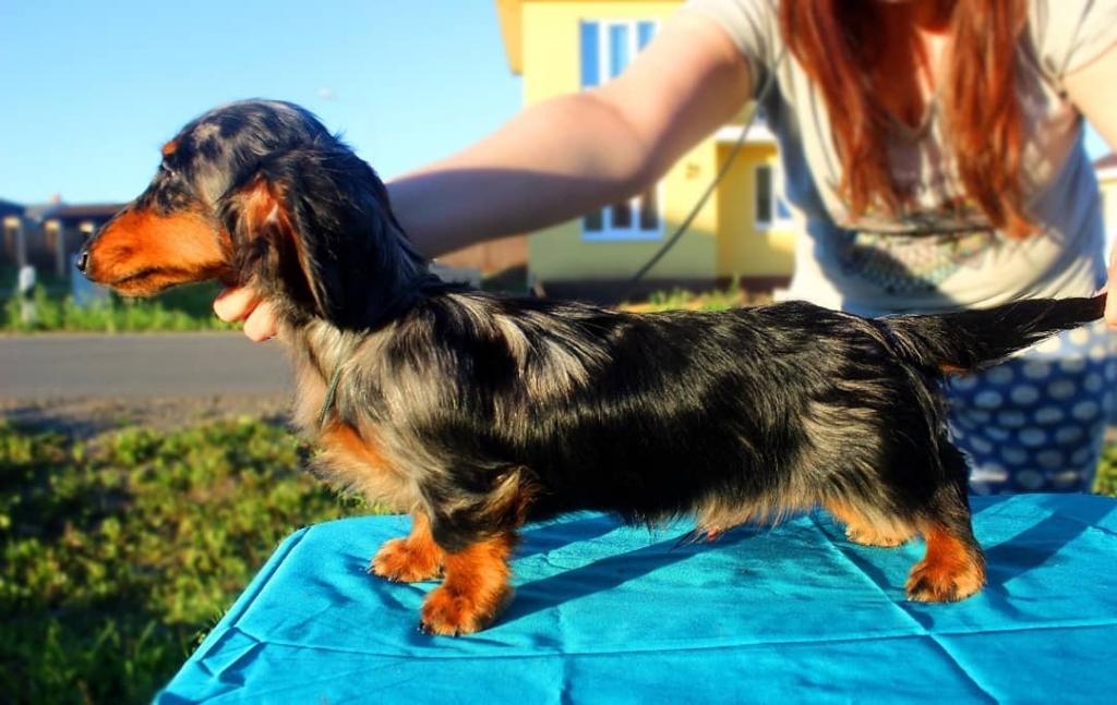 �����. ��������