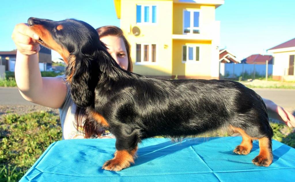 �����. ��������