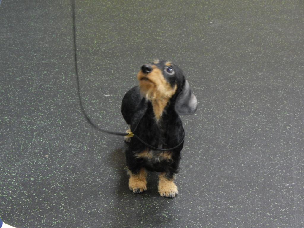 �����. ��������