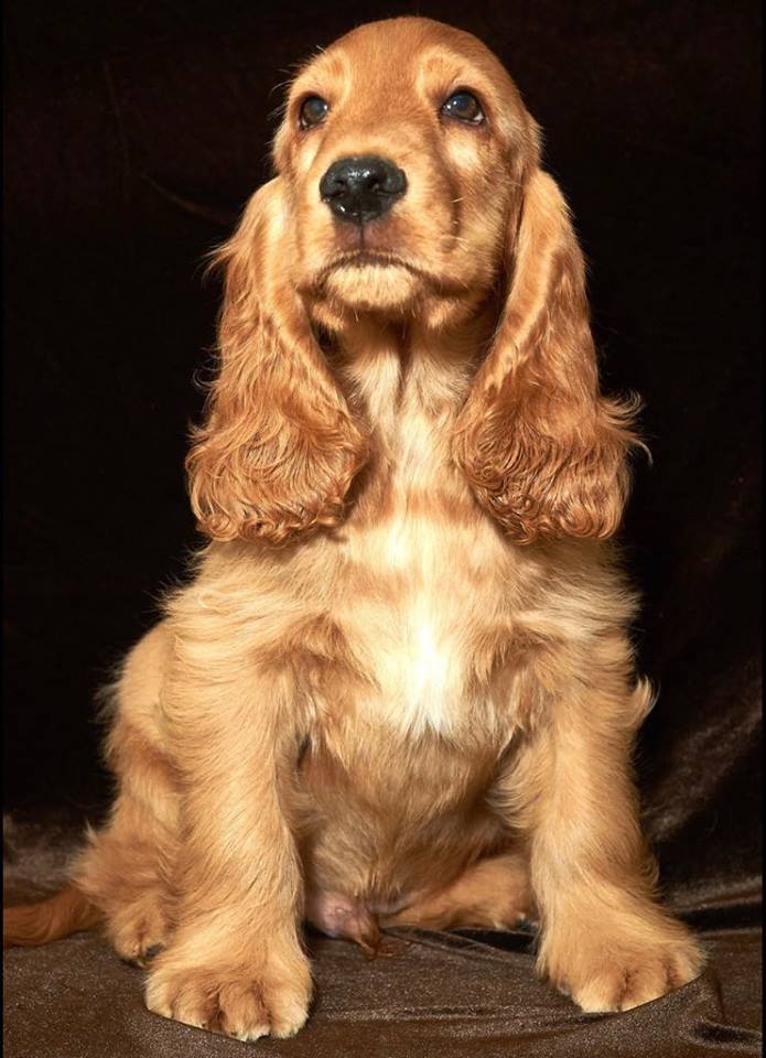 ���������� ����� ��������