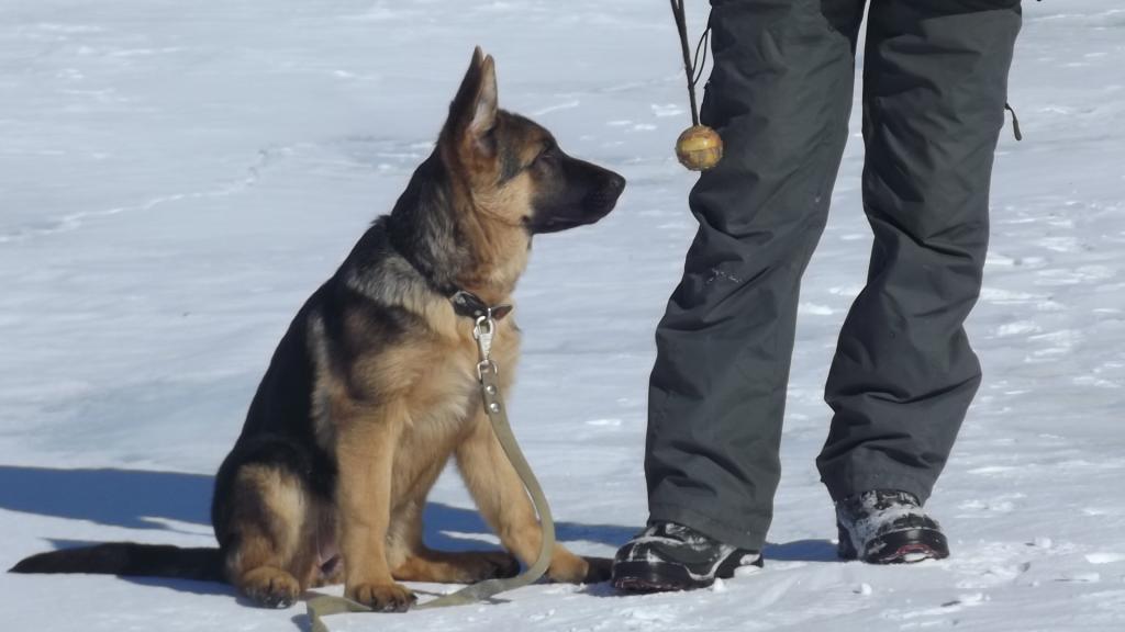 �������� �������. ��������