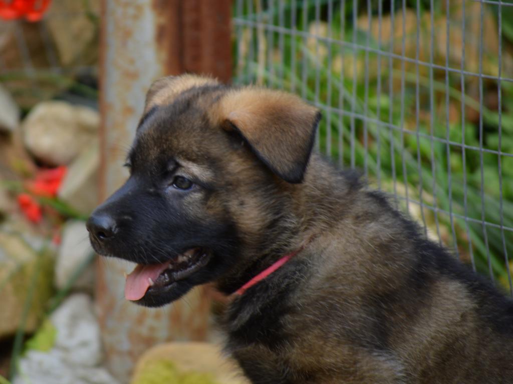 �������� �������. ��������