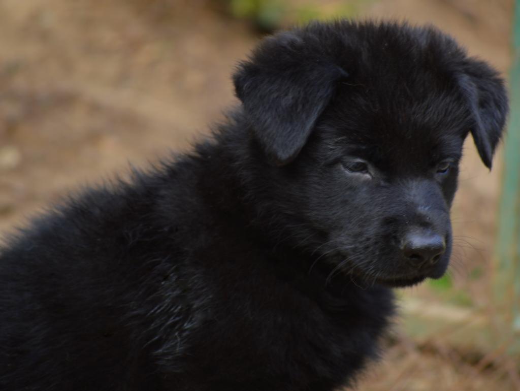 �������� �������. ��������