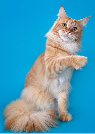 ����-��� �� ��������� ����� ����� ������