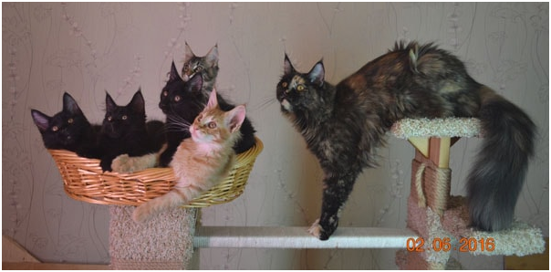 ����-��� �� ��������� ����� ����� ������