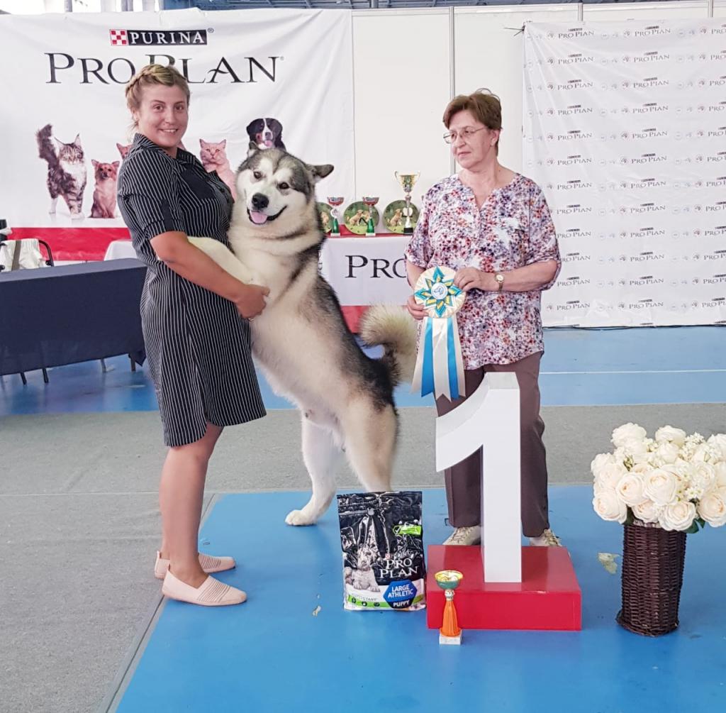 ����������� �������. ��������