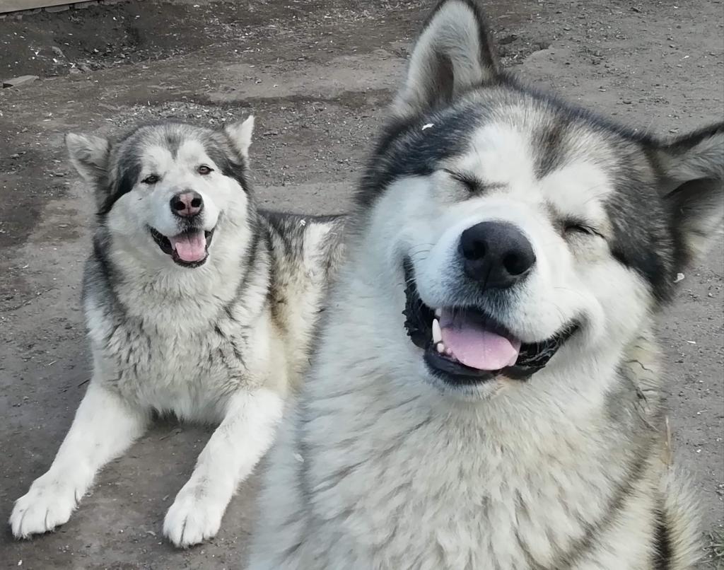 ����������� �������. ��������