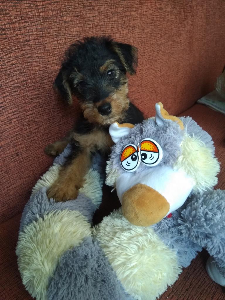 ���� ������. ��������