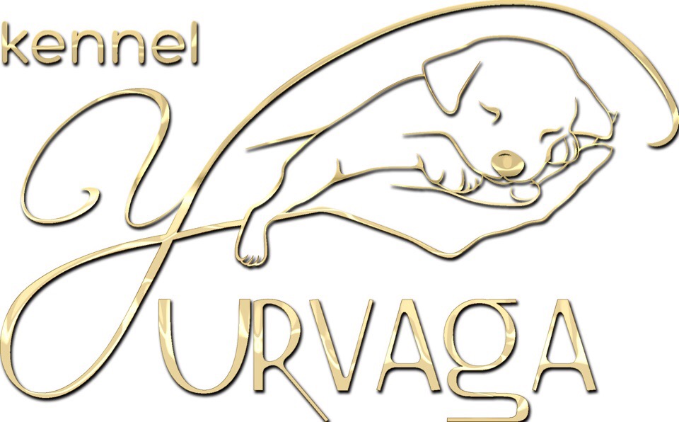 �������� �������� �� ��������� ����� "yurvaga"