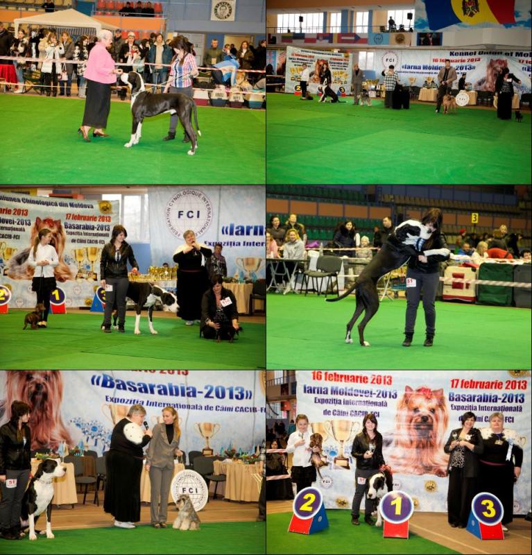 �������� ���. ���������� �����