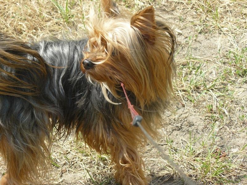 ����������� ������. ���������� �����