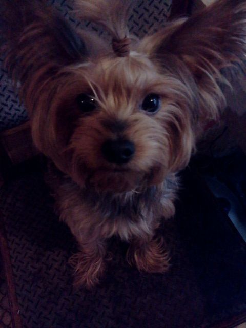 ����������� ������. ���������� �����