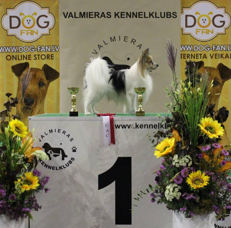 ��������. ���������� �����