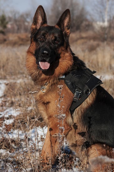 �������� �������. ���������� �����