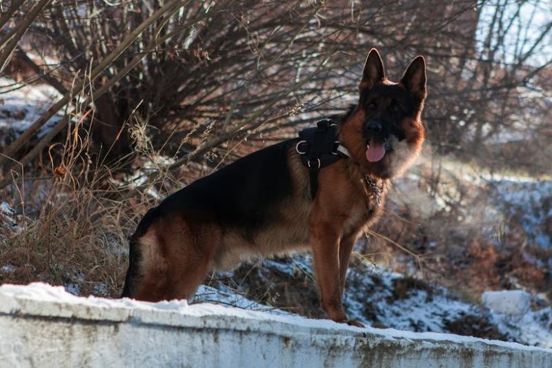 �������� �������. ���������� �����