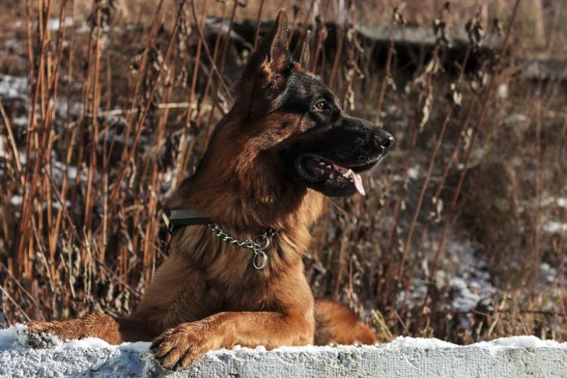 �������� �������. ���������� �����