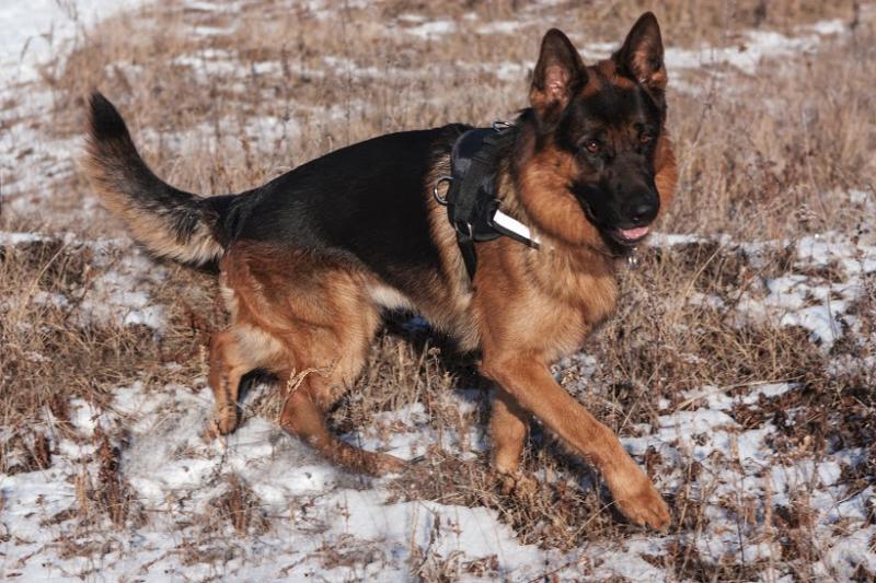 �������� �������. ���������� �����