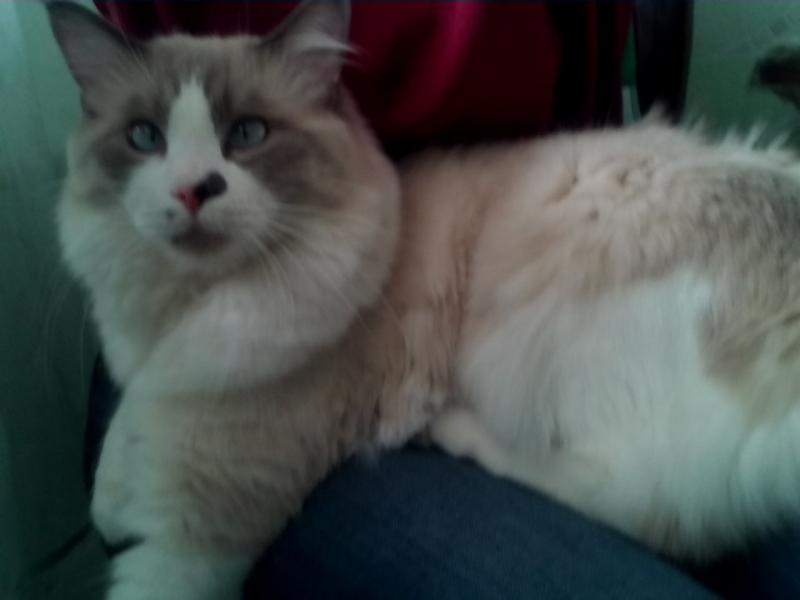 �������. ���������� �����