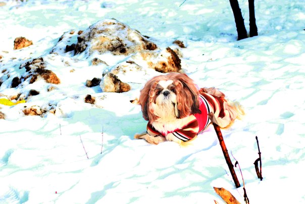 ��-���. ���������� �����