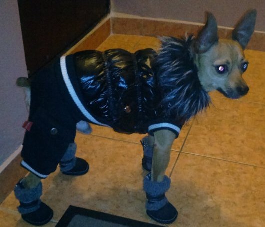 ������� ���-������. ���������� �����