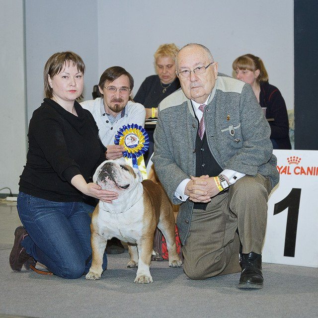 ���������� �������. ���������� �����