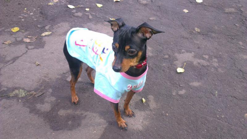 ������� ���-������. ���������� �����