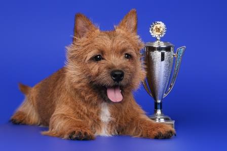 ������-������. ���������� �����