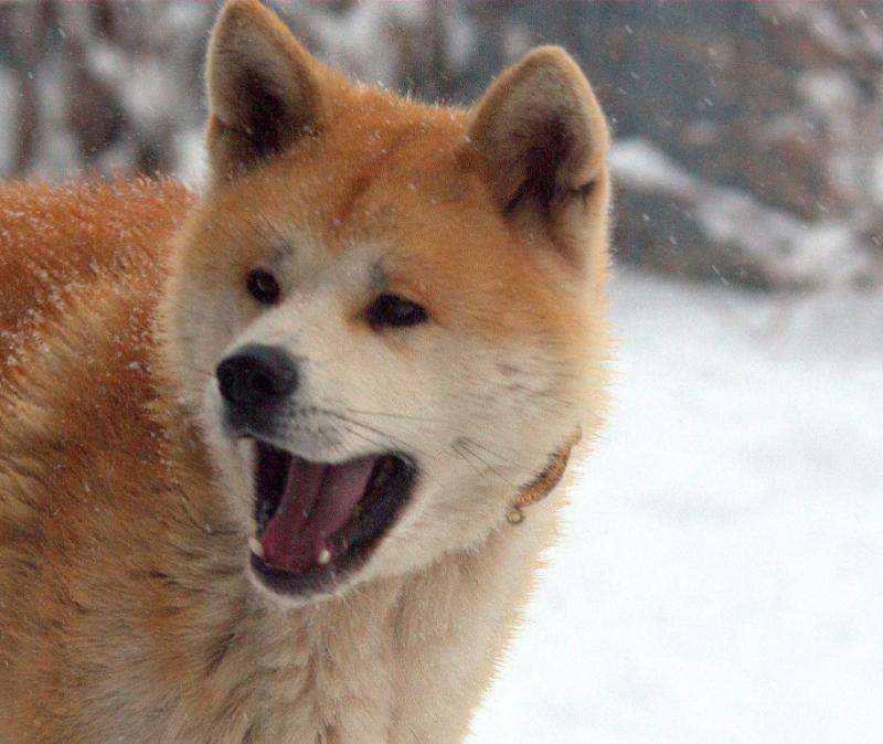 �����-���